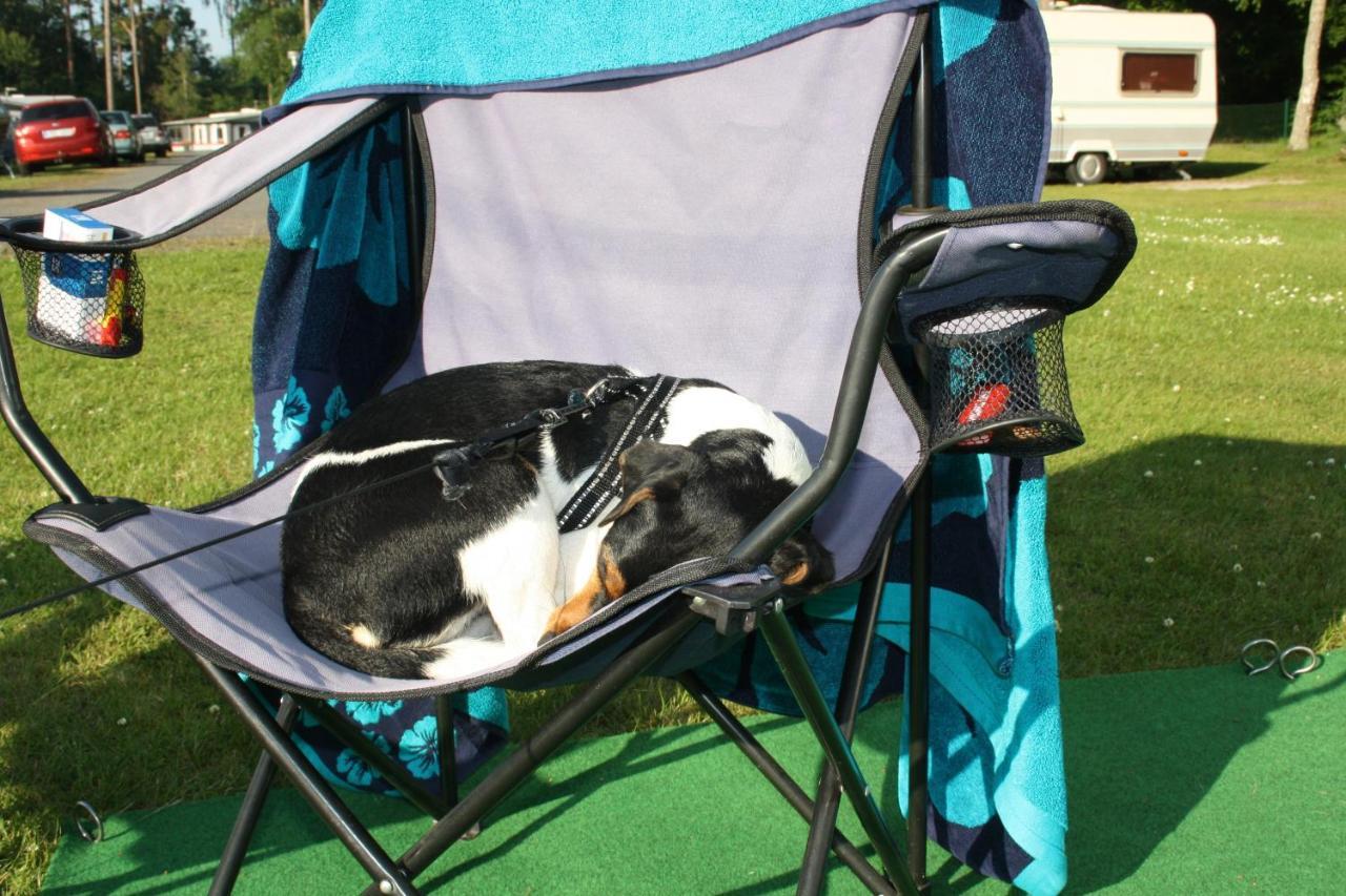 Bromoella Camping O Vandrarhem Zewnętrze zdjęcie